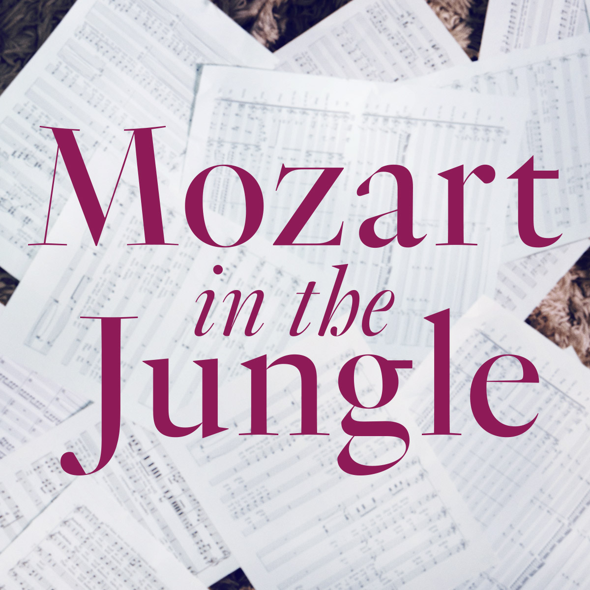 mozartinthejungle