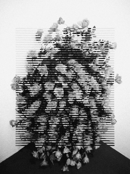 Giphy profile picture for @na