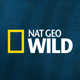 Nat Geo Wild Avatar