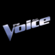 The Voice Avatar