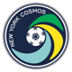 new-york-cosmos