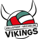 vvvikings