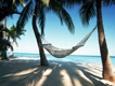 paradise-found-around