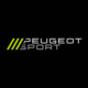 Peugeot Sport Avatar