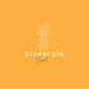 pineapplesol