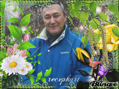 Giphy profile picture for @reception