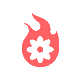 renanmachadodesign