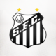 Santos Futebol Clube Avatar