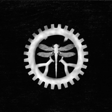 Giphy profile picture for @sas