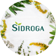 Sidroga