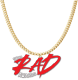 stayradawards