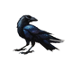 thegirlandtheraven