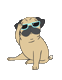 thelaughingpug
