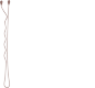 thelovelyhairclass