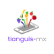 tianguis-mx