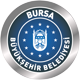 bursabuyuksehir