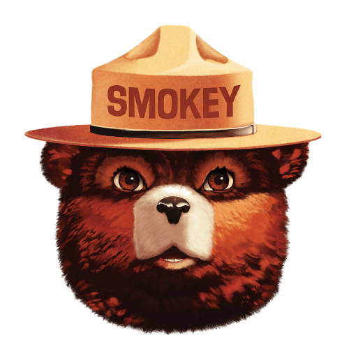 Giphy profile picture for @YCSL