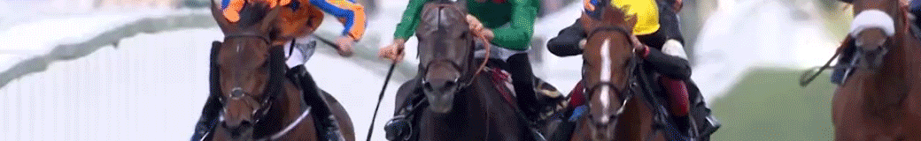 Horse Racing Gifs Get The Best Gif On Giphy