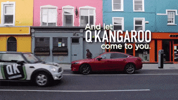 Q-KANGAROO GIF