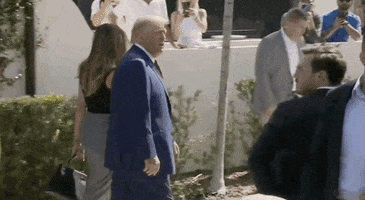 Donald Trump Midterms GIF by GIPHY News