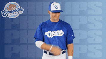 Brush Off No Problem GIF by Evansville Otters