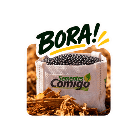 Bora Sticker by Cooperativa COMIGO