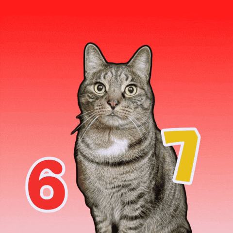 Funny Cats Cat Meme GIF by Furrend