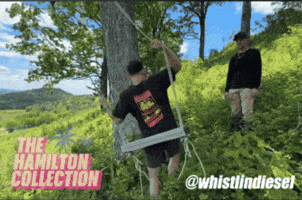 Swing Swinging GIF by TheHamiltonCollection