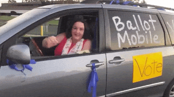 Vote Katie Porter GIF by GIPHY News
