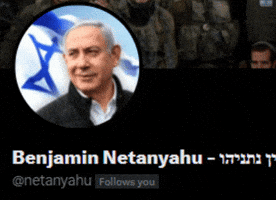 Twitter Follow Back GIF