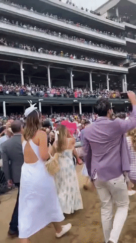 Hailee Steinfeld GIF