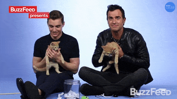 Dave Franco Cat GIF by BuzzFeed