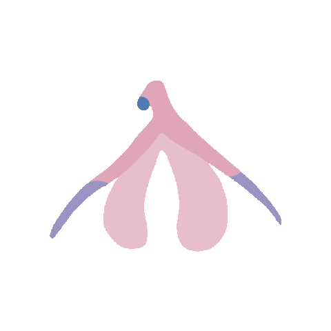 Juntas Oficial Sticker