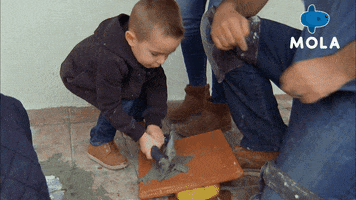 200.gif?cid=fc005b08856d1cfd94416542a0bdedb51899fb074d7602ef&rid=200.gif&ct=g