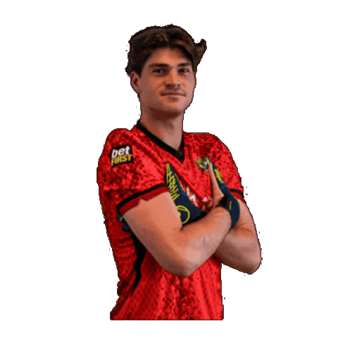 Wannes Carnewal Sticker by KFC Merelbeke