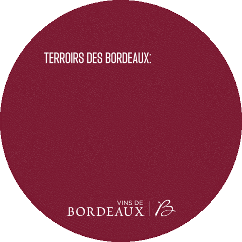 Cheers Wine Sticker by Vins de Bordeaux