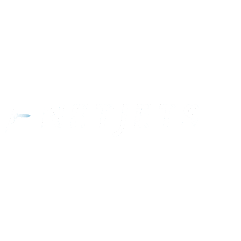 Sticker by NetJets