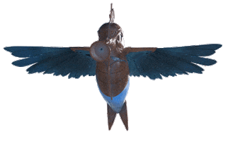 Tmlwinter Sticker by Tomorrowland