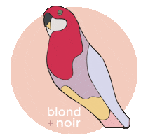 Blond + Noir Sticker