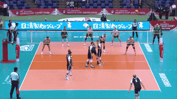 Bartosz Kurek Reaction GIF by Volleyball World
