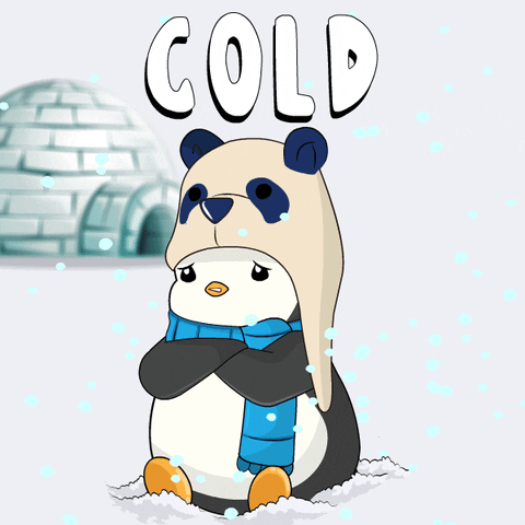 Freezing Cold Weather GIF by Pudgy Penguins