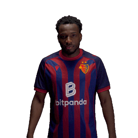 Football Soccer Sticker by FC Basel 1893