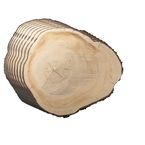 Womens Rights Art Sticker