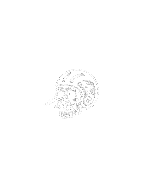 Throttle Rockers Sticker