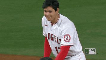 Regular Season Smile GIF by MLB