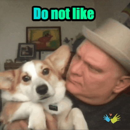 Dogs Love GIF by Williams Syndrome Association