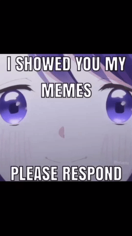 I Showed You My Memes GIF