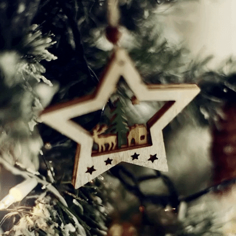 Christmas Tree Love GIF by dua.com