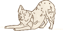 Dog Love Sticker by goliatandfriends