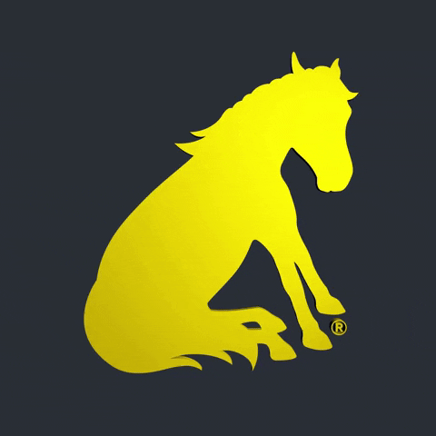 Logo Horse GIF by Pony Friday